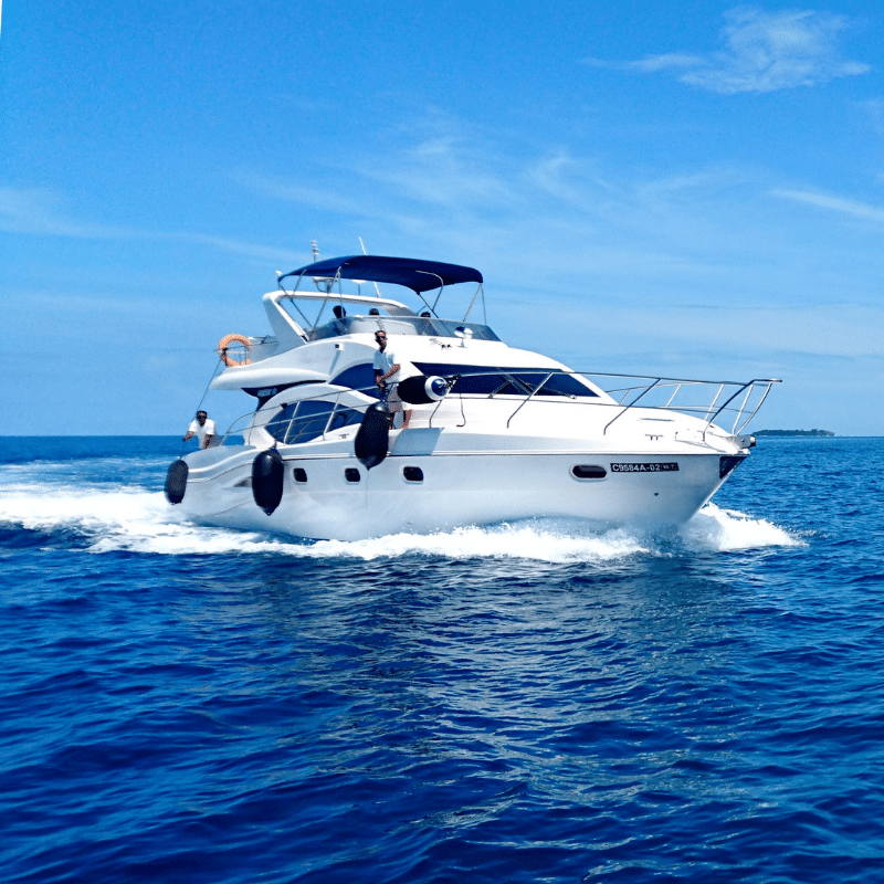 boatcare services